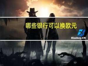 哪些银行可以换欧元