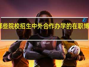 哪些院校招生中外合作办学的在职博士专业