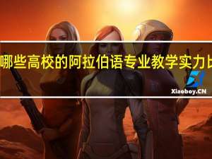 哪些高校的阿拉伯语专业教学实力比较强