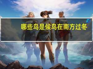 哪些鸟是候鸟在南方过冬