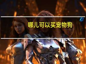 哪儿可以买宠物狗