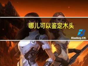 哪儿可以鉴定木头