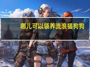 哪儿可以领养流浪猫狗狗