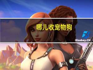哪儿收宠物狗