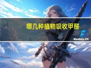 哪几种植物吸收甲醛