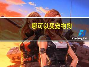 哪可以买宠物狗