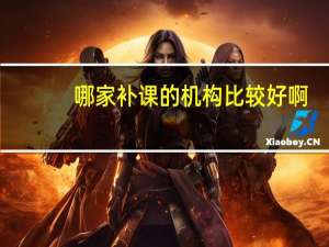 哪家补课的机构比较好啊