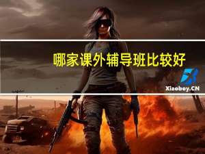 哪家课外辅导班比较好