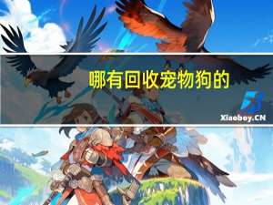 哪有回收宠物狗的