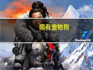 哪有宠物狗