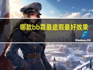 哪款bb霜最遮瑕最好效果