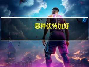 哪种伏特加好