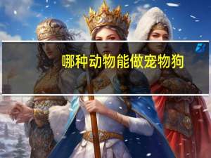 哪种动物能做宠物狗