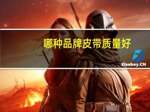 哪种品牌皮带质量好