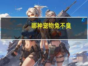 哪种宠物兔不臭