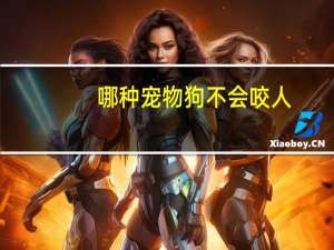 哪种宠物狗不会咬人