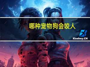 哪种宠物狗会咬人