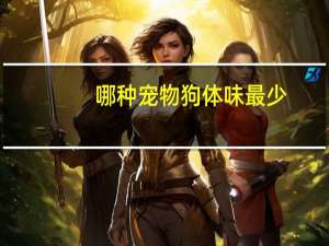 哪种宠物狗体味最少