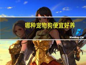 哪种宠物狗便宜好养