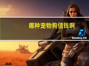 哪种宠物狗值钱啊