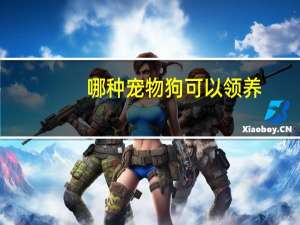 哪种宠物狗可以领养