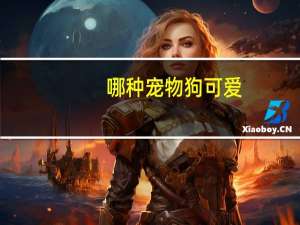 哪种宠物狗可爱