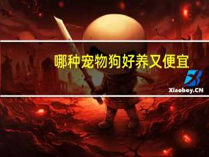 哪种宠物狗好养又便宜
