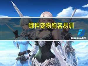 哪种宠物狗容易训