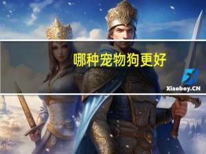 哪种宠物狗更好