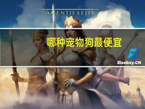 哪种宠物狗最便宜