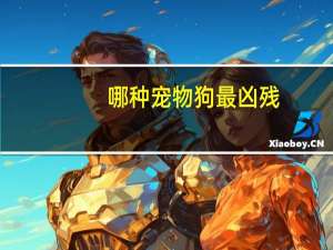 哪种宠物狗最凶残