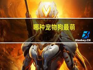 哪种宠物狗最萌