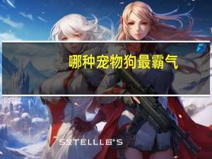 哪种宠物狗最霸气