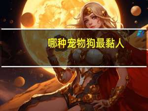 哪种宠物狗最黏人
