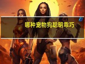 哪种宠物狗聪明乖巧