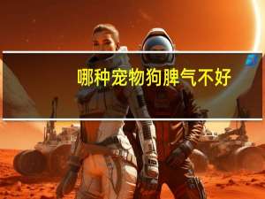 哪种宠物狗脾气不好