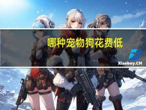 哪种宠物狗花费低