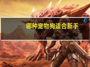 哪种宠物狗适合新手