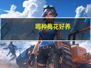 哪种梅花好养