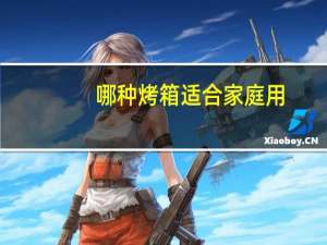 哪种烤箱适合家庭用