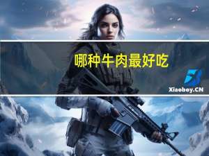 哪种牛肉最好吃