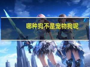 哪种狗不是宠物狗呢
