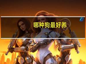 哪种狗最好养