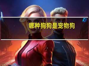 哪种狗狗是宠物狗