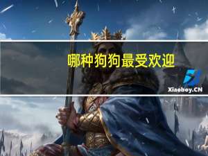 哪种狗狗最受欢迎
