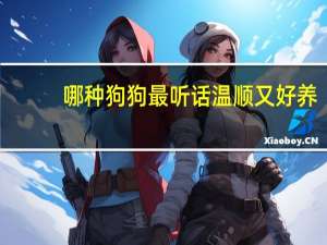 哪种狗狗最听话温顺又好养