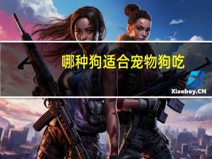 哪种狗适合宠物狗吃
