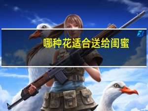 哪种花适合送给闺蜜