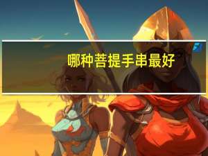 哪种菩提手串最好