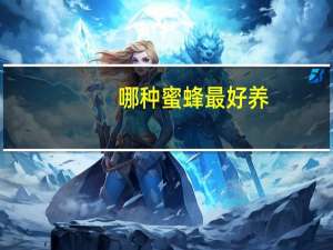 哪种蜜蜂最好养